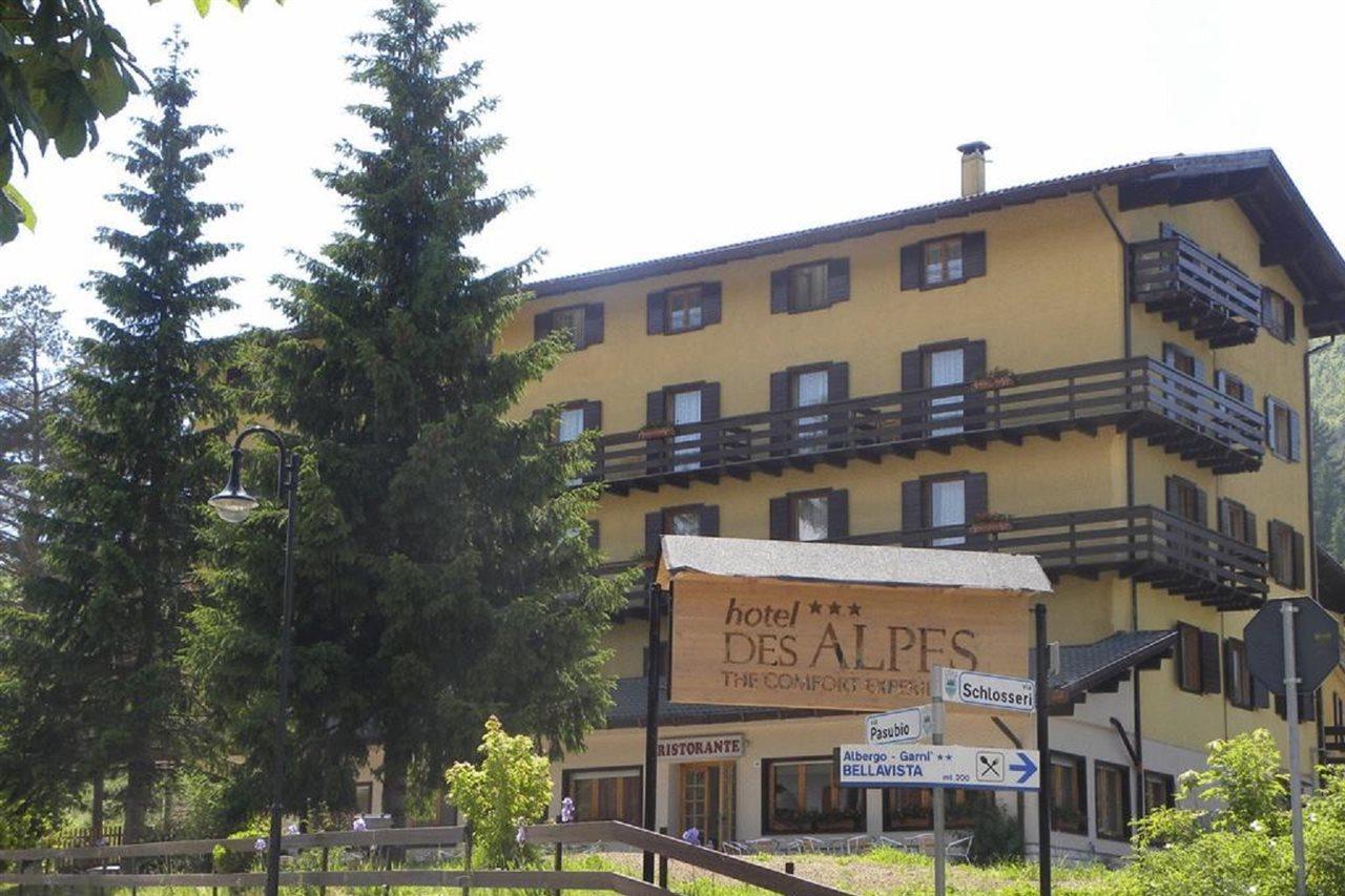 Life Hotels Des Alpes Фольгария Экстерьер фото